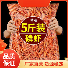 �ϘO�[�r���r�׵����rƤ���r��؛���o�}�r���r�ʺ����a���r����]