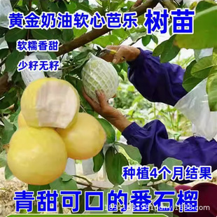 ���鷬ʯ����� �޽� �Ř��� ˮ���� �����ļ��� �ϱ����ɷNֲ