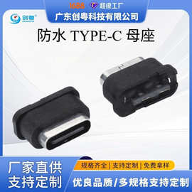 TYPE-C 2PIN 焊线式防水母座 L=7.25MM 直立式 接线式 IPX8