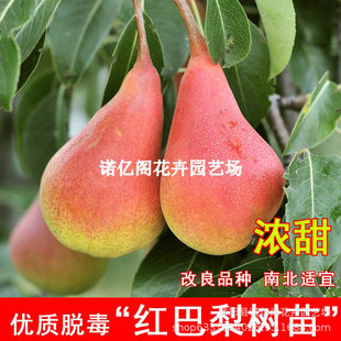 �����tơ�����޽ӹ��������������tƤ����ȫ�tܛ���Ϸ������N