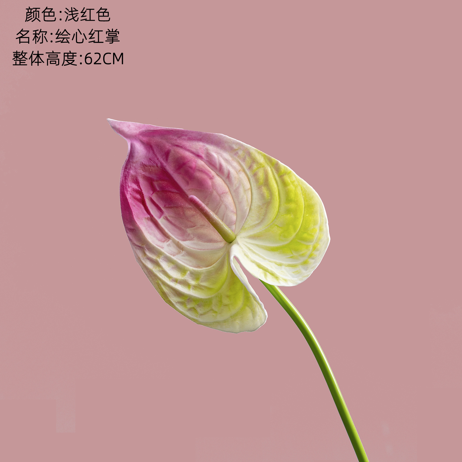 밝은 빨간색