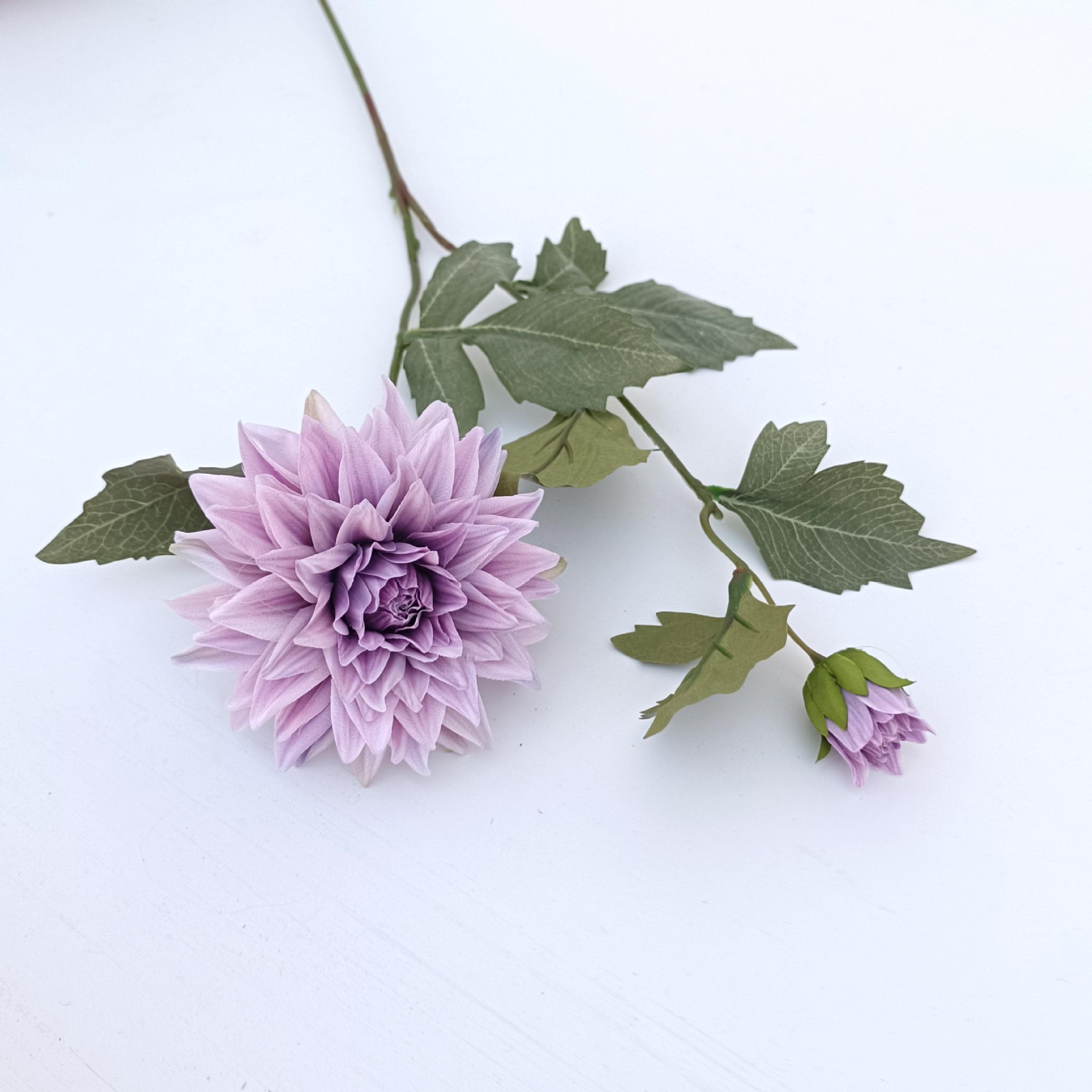 보라색