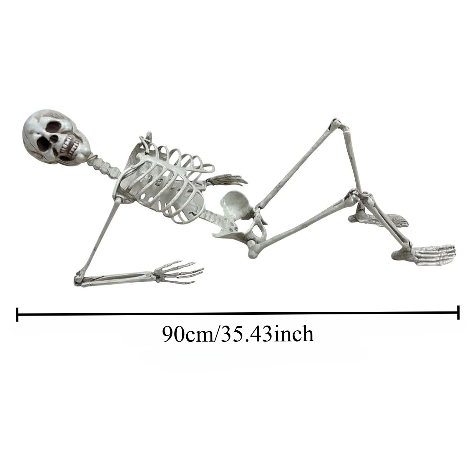 Скелет (90см)