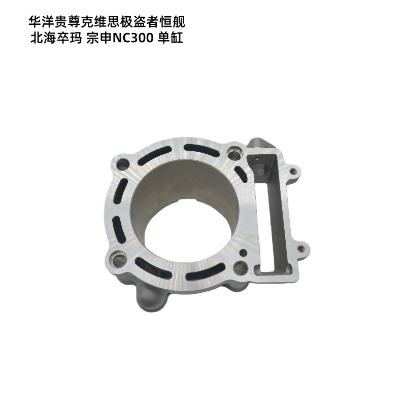 Ready-Stock Motorcycle Parts Suitable for Huayang Guizun Hengjian Beihai Zuoma Zongshen Nc300 Dual Cam Cylinder Kit