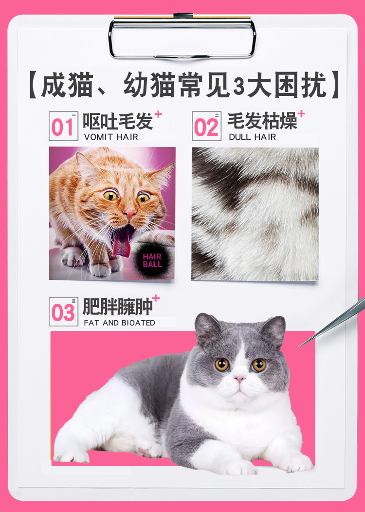 猫粮厂家批发成猫幼猫全价猫主食小猫奶糕猫粮猫舍1斤猫主粮工厂详情5