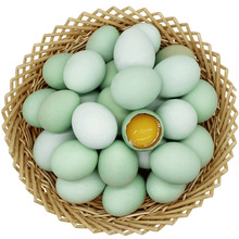 乌鸡蛋30枚绿壳鸡蛋初生蛋农家散养土鸡蛋青壳鸡蛋新鲜现下包邮