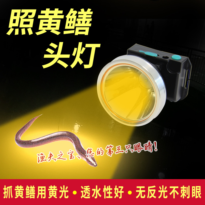 渔夫之宝新品黄光头灯照黄鳝透水性强蓝光钓鱼灯中性光捕蝉抓螃蟹