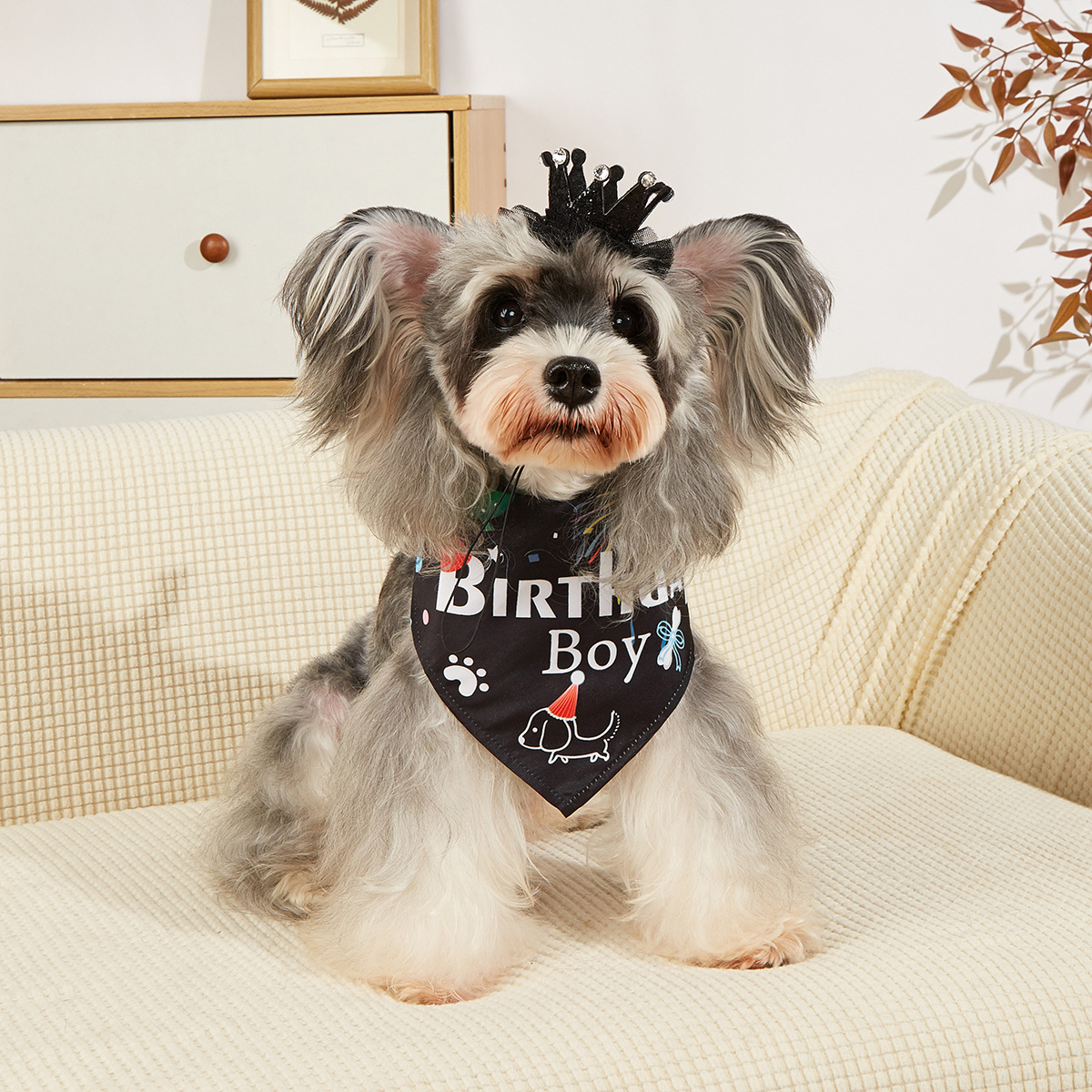 TANPOPO nuevo sombrero de cumpleaños para perros de estilo ins de alta calidad sombrero de fiesta para perros y gatos