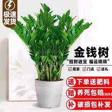 Xֲ҃ȿ͏dGֲBkԆwؔ