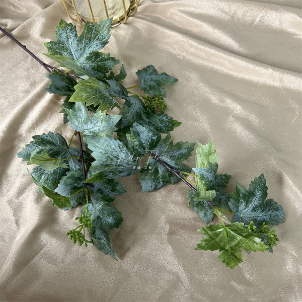 Single grape leaf leaf leaf leaf with fruit realistic plant wall…