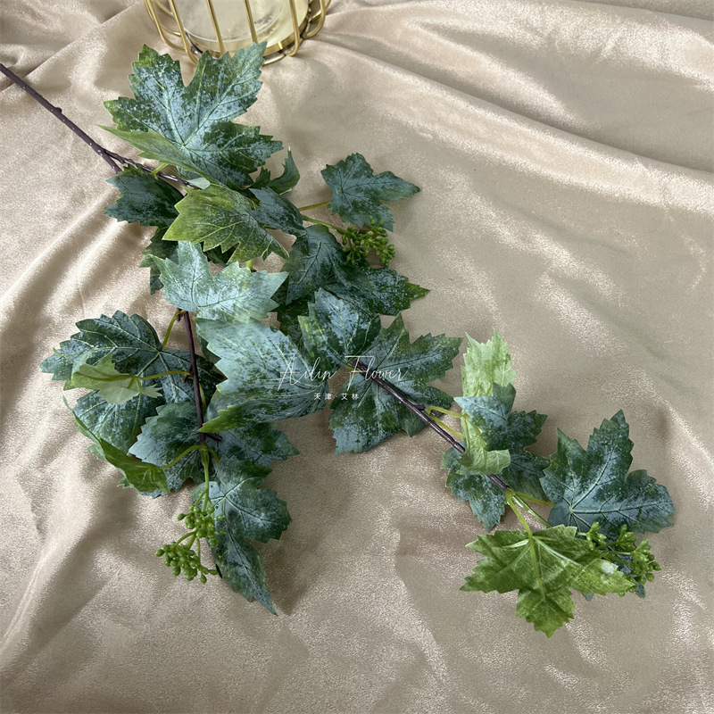 Grape leaves