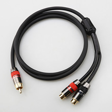 �l����ɏ�����D�pɏ��ĸ���l��RCA�D2RCAĸ�^һ�ֶ���������푾�