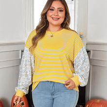 2026�궬���¿��a���^�A�I�l��Ů�W���r�г���ײɫӡ���B������