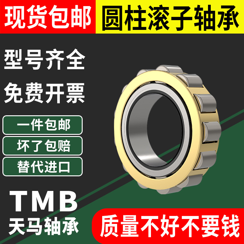 天马减速机轴承偏心轴承RN205 206 307 308 309 312 222 219 328M