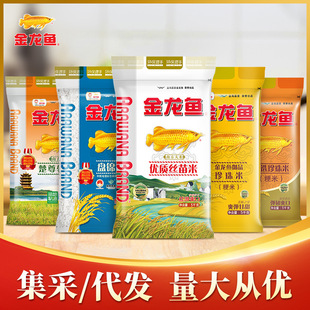 �����~����5ǧ�˖|������������/�z�����L����10���b�����������