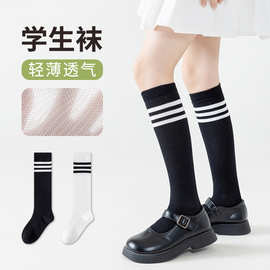 定制跨境爆款儿童小腿袜秋季薄款儿童袜长筒学生袜子童袜及膝袜