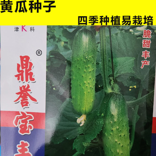 �߮a�S�ϷN���������Դ�ȫ�ļ��߲˷N��ˮ������������ټ��r����