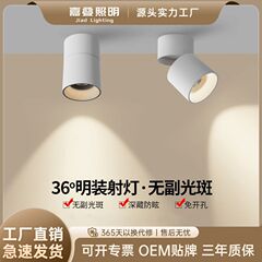 明装射灯可调角度家用客厅led天花筒灯折叠吸顶式玄关防眩聚光灯