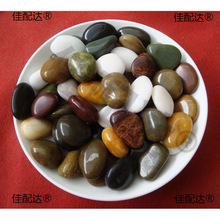 石乌龟小石子鱼缸装饰布天然鹅卵石头养盆景斤装造景沙铺底花彩