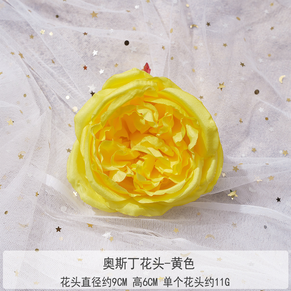 TY-오스틴 꽃 머리-노랑