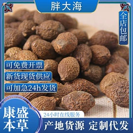 其他药食同源;灵芝;其他滋补