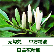 �o�������m�����͆η����������o�w��Ħ����޹����ԭ�ϰ��m����