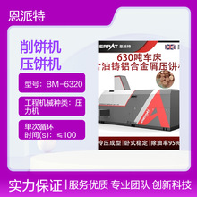 恩派特实力工厂卧式压饼机1250吨金属碎料钢屑压块机 高效率打饼