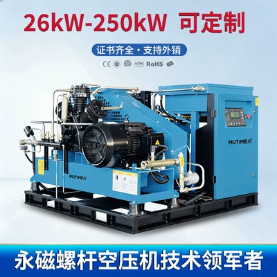 Screw-type air compressor 30 Hava kompressorları