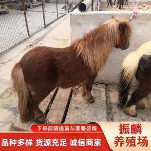 ���a�����R �ɹ��R�Bֳ���� �Rƥ���о� ���R�Bֳ����