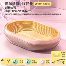 ؈ץCм؈ץ㼈؈ץ؈Cһw؈߷؈ץĥצ