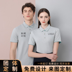 Quick-dry polo shirt short-sleeved T-shirt with logo embroidery workwear advertisement cultural shirt group workwear