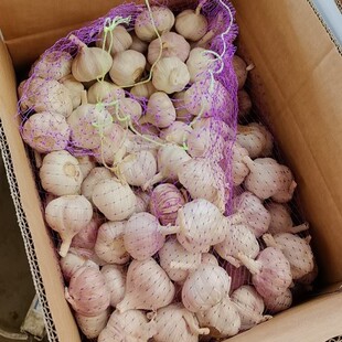 �������r���� �����Ж|ɽ�|�����հ� ���� ���� �r����