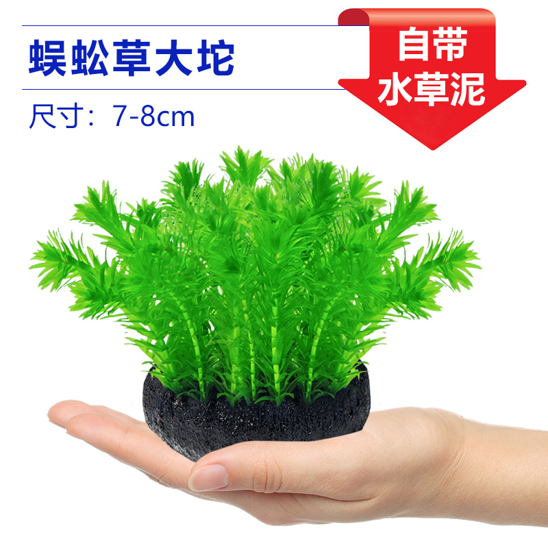 지네풀 큰덩어리풀 [얼리 어답터 가격]❤특별한 제안]