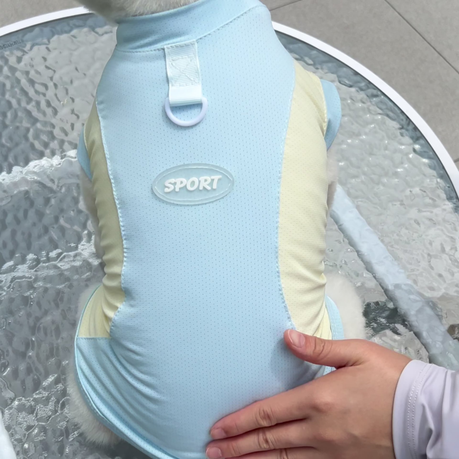 Ropa de protección solar para mascotas de primavera y verano, fina, de seda helada, transpirable, para perros pequeños y medianos y gatos de cuatro patas._voghion.com