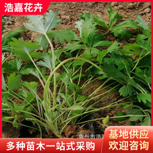 �o�¹��@С�^�G�� �����޸����� ���~ί������~ί���