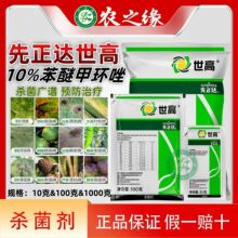 �����_����10%���Ѽ׭h�� �¼��׷�̿���~�ߺ��ǲ��P���߲�������