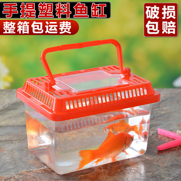 Small plastic handheld transparent aquarium