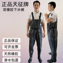 红联天征牌橡胶帆布双胶下水裤矿山井下出海作业水产劳保下水裤服