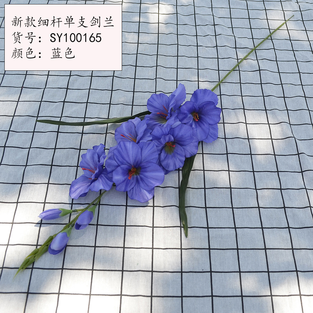 새로운 얇은 막대 단일 스피어 난초 블루