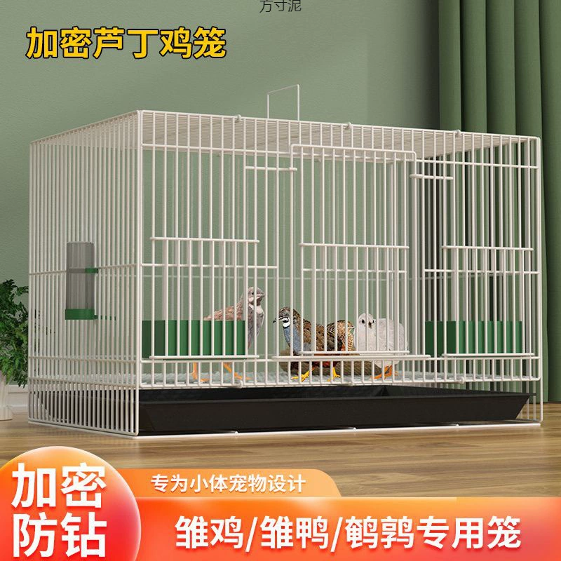 Рудинг Куриная клетка Домашняя клетка Крипто-курица Клетка Птенец Клетка Перепелиная клетка Утка Клетка Кора Утка Клетка Амазонка