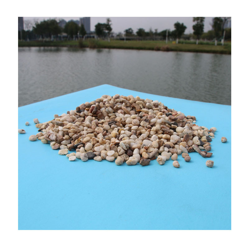 ɫ̼ˮĥʯƺɫʯӰʯѧУܵҾװ