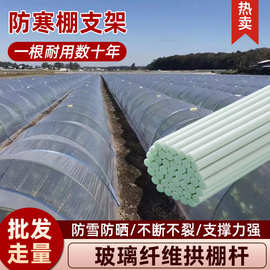 无碱玻璃纤维棒小拱棚支架育苗遮阳纤维支撑杆批发玻璃钢耐高温