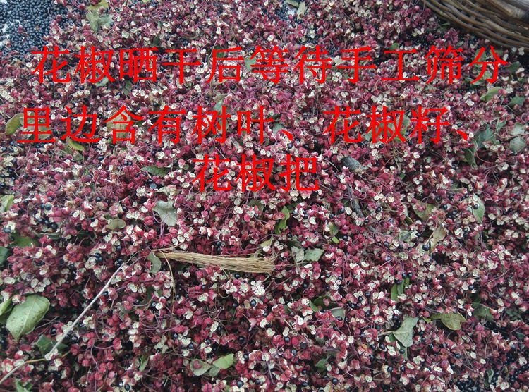 TB2G_8JngJlpuFjSspjXXcT.pXa_!!