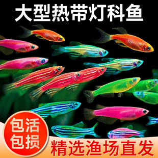 �Ꭷ�^�p�~�~����R�~���Bˮ��С����С�Ϳ�ȸ���~���~��ˮ�����~