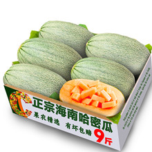 正宗海南哈密瓜9斤包摘西洲蜜瓜网纹瓜甜瓜当季鲜老汉瓜整箱包邮