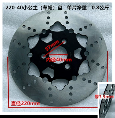 Other Electric Vehicle Accessories — Vehicle Lithium Battery Vehicle - 220-40-disc-brake-disc-flat-disc-straw-hat