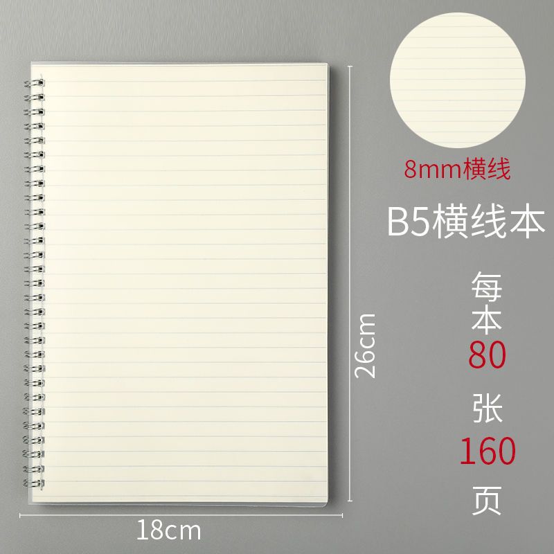 B5 코일-80 수평선 (160 평면)