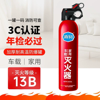 Fire Extinguisher 600ml Water-Based: Vehicle fire extinguisher