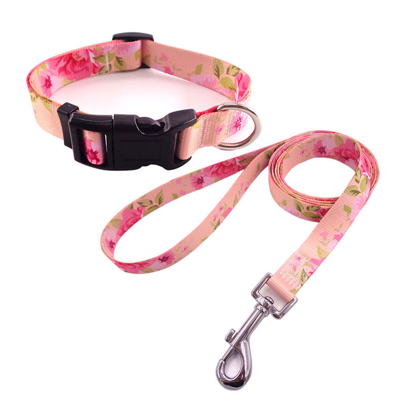 Fuente fabricante de perros de mascotas collar de cuerda de tracción conjunto de perros de tamaño pequeño y medio collar de mascotas perros de gato collar de cuerda de tracción