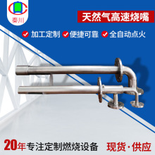焚烧炉天然气高速烧嘴 调节比宽耐高温 加热锅炉燃气点火枪